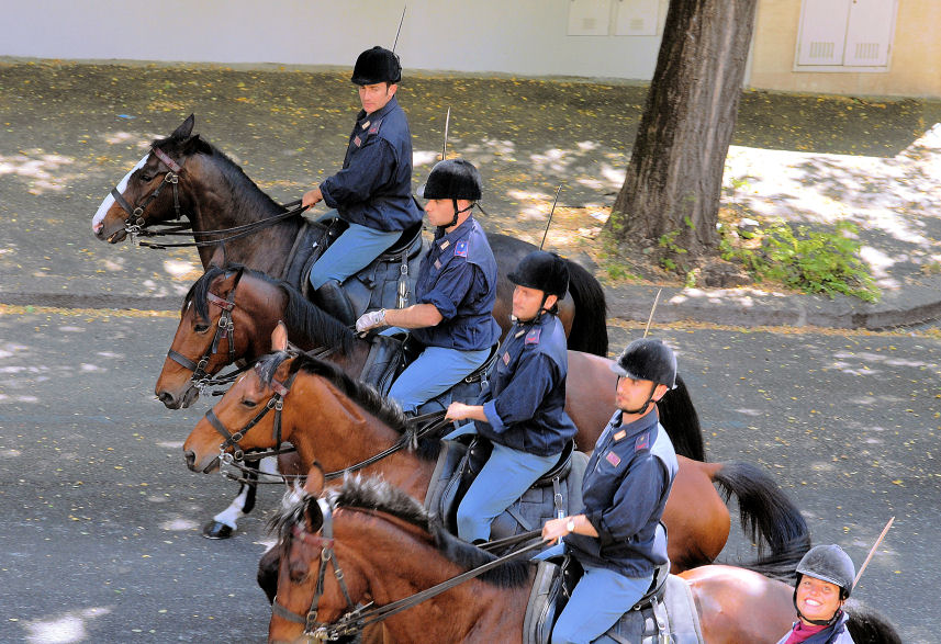 Xilocopa e ancora polizia a cavallo